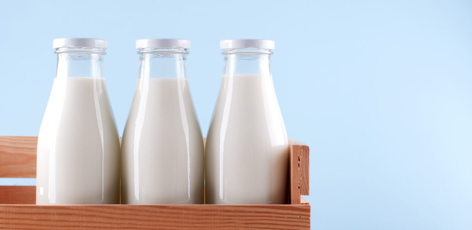 Conheça os vários tipos de leite e escolha o melhor para a sua saúde